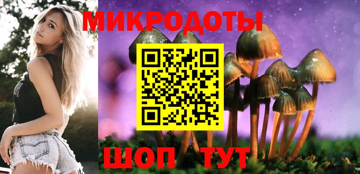 Людиново  Псилоцибиновые грибы Cubensis  Вход с VPN 